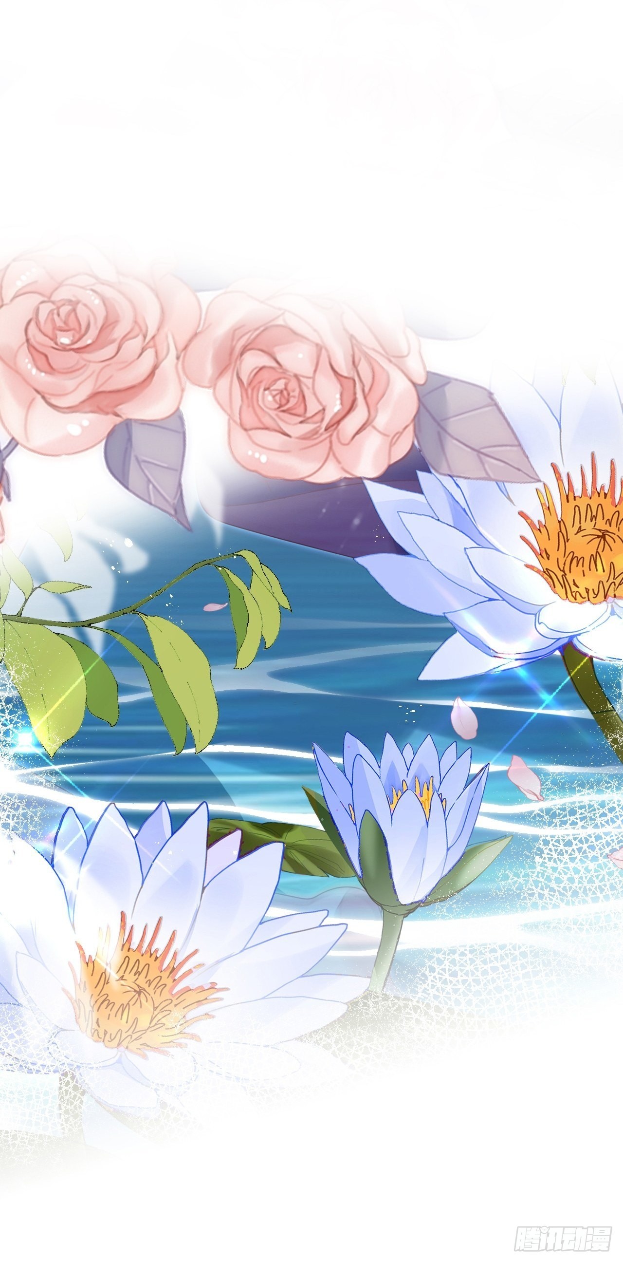 云容花开·壹49