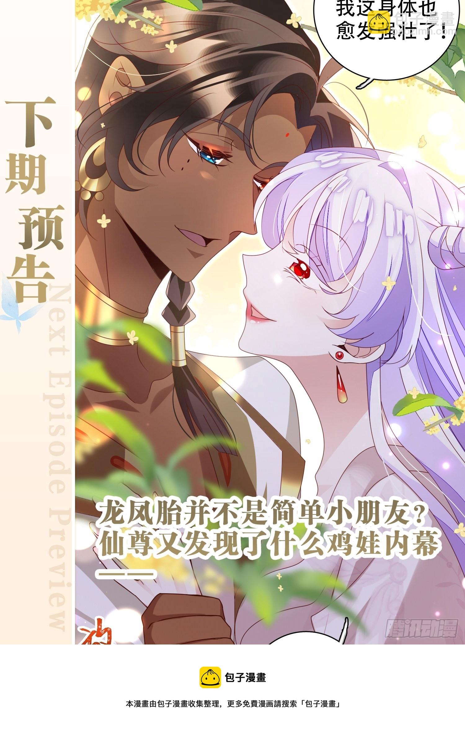 鸾凤宗的百合花都开好了54