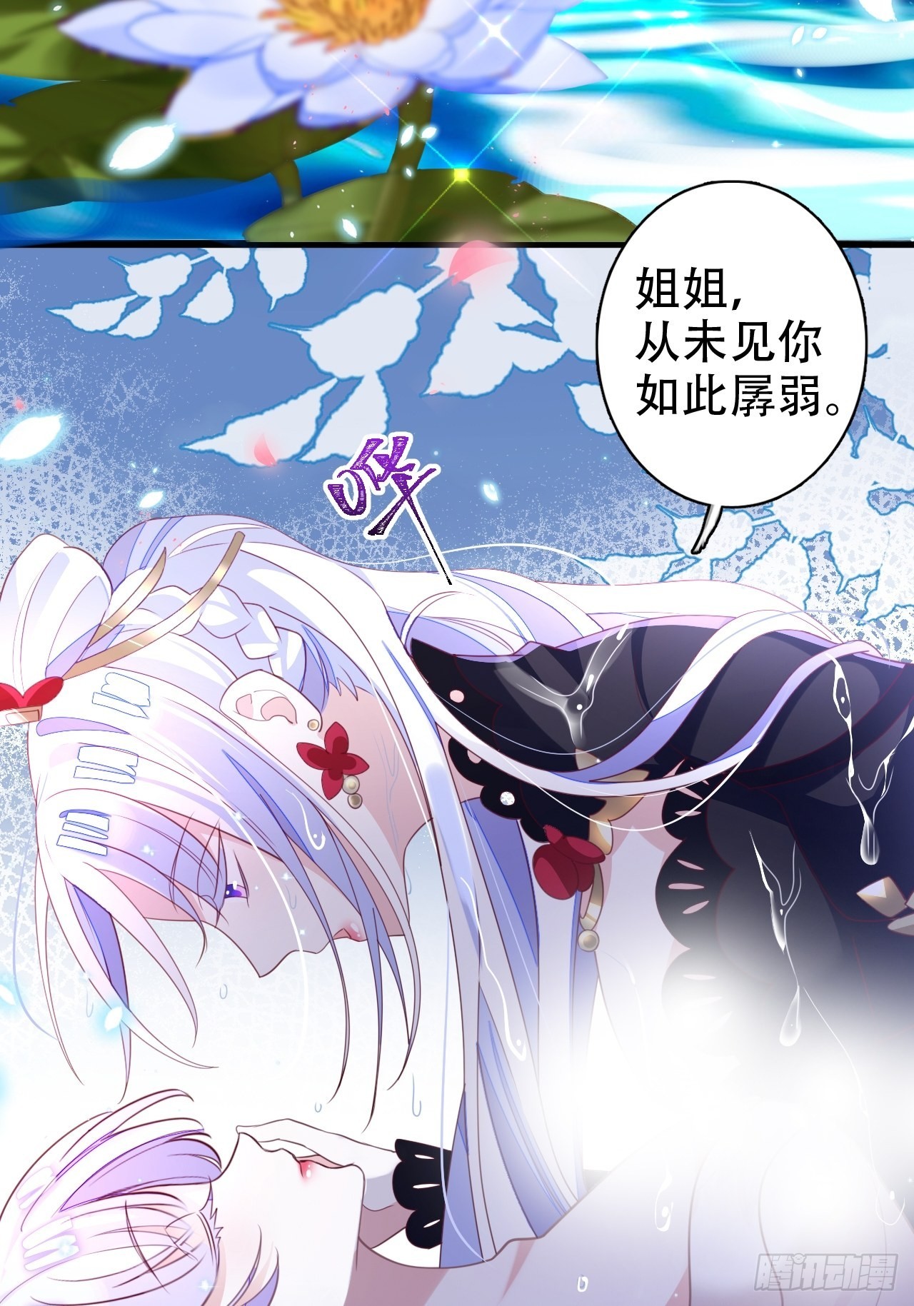 鸾凤宗的百合花都开好了12