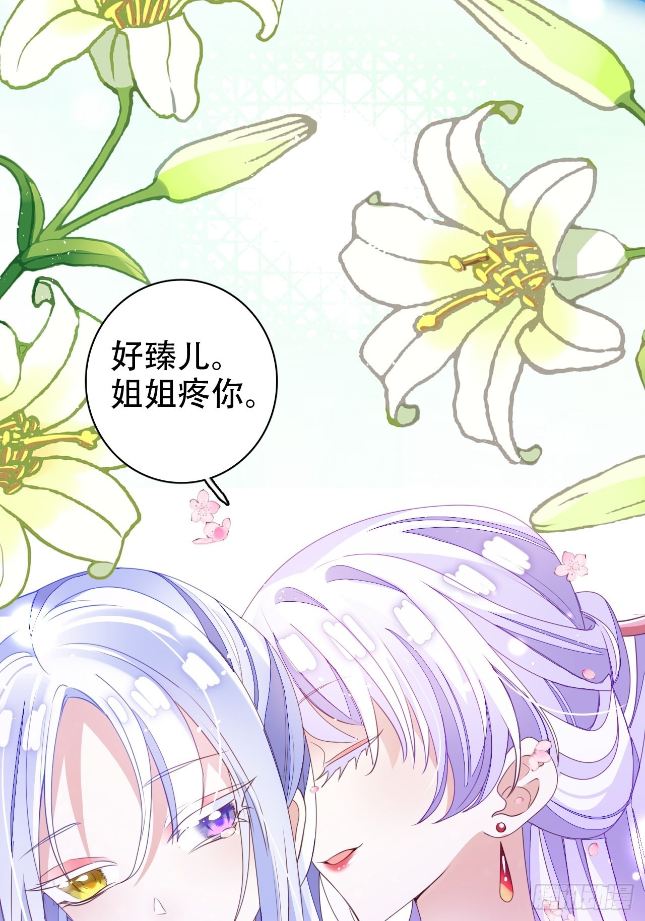 鸾凤宗的百合花都开好了32