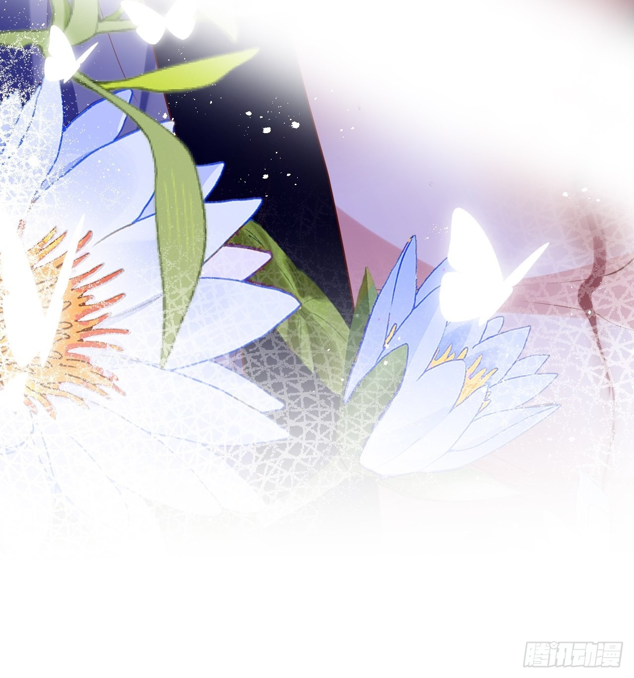 云容花开·壹9