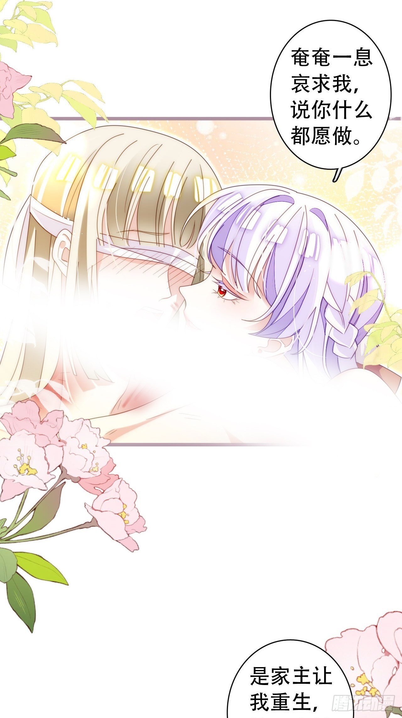 云容花开·贰4