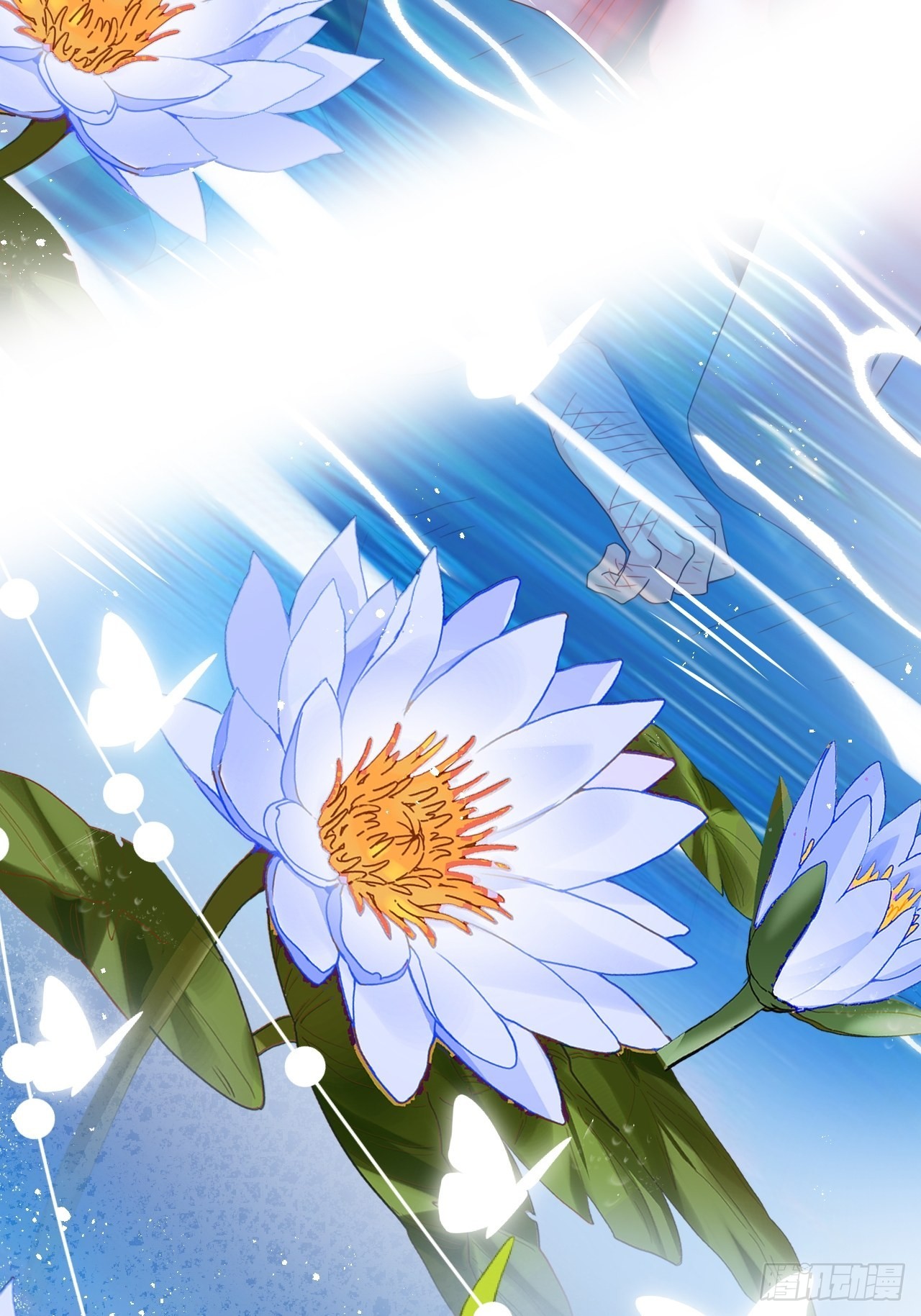 云容花开·壹6