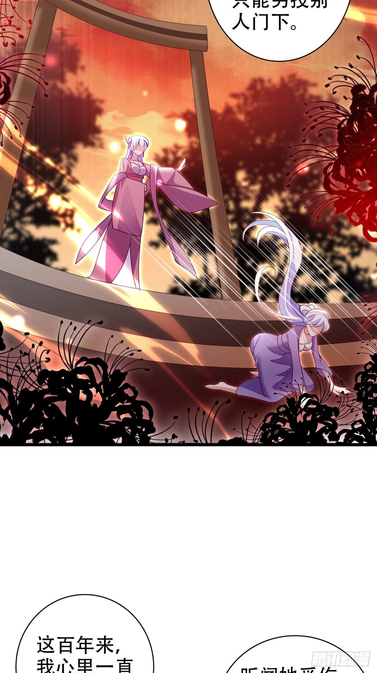鸾凤宗的百合花都开好了46
