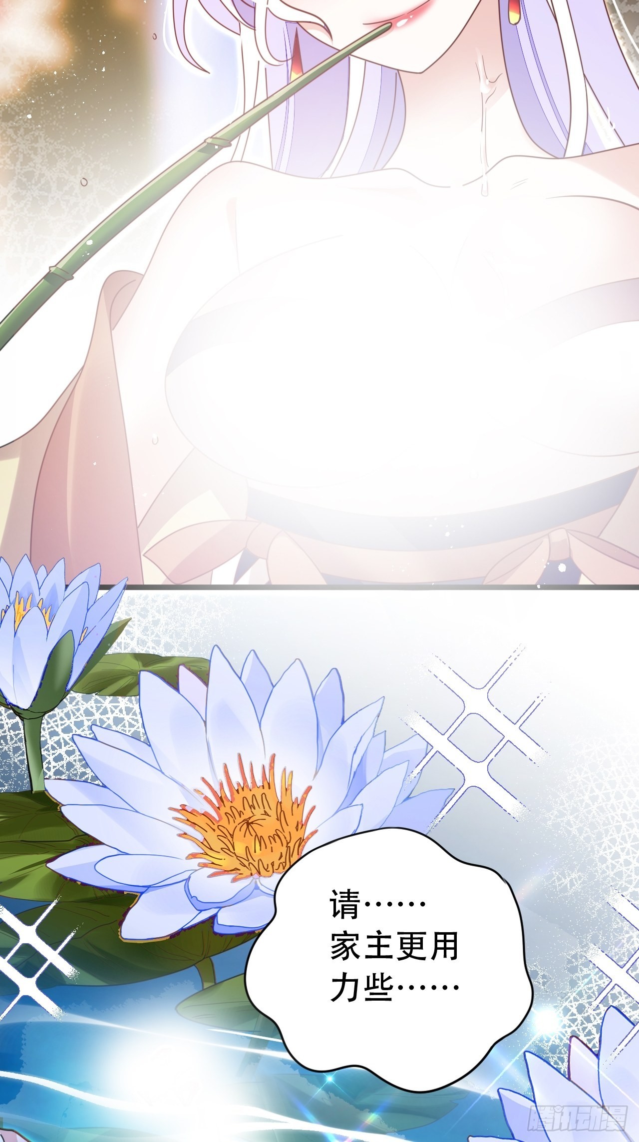 云容花开·壹34