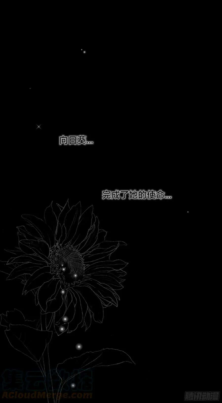 誓约（27）12