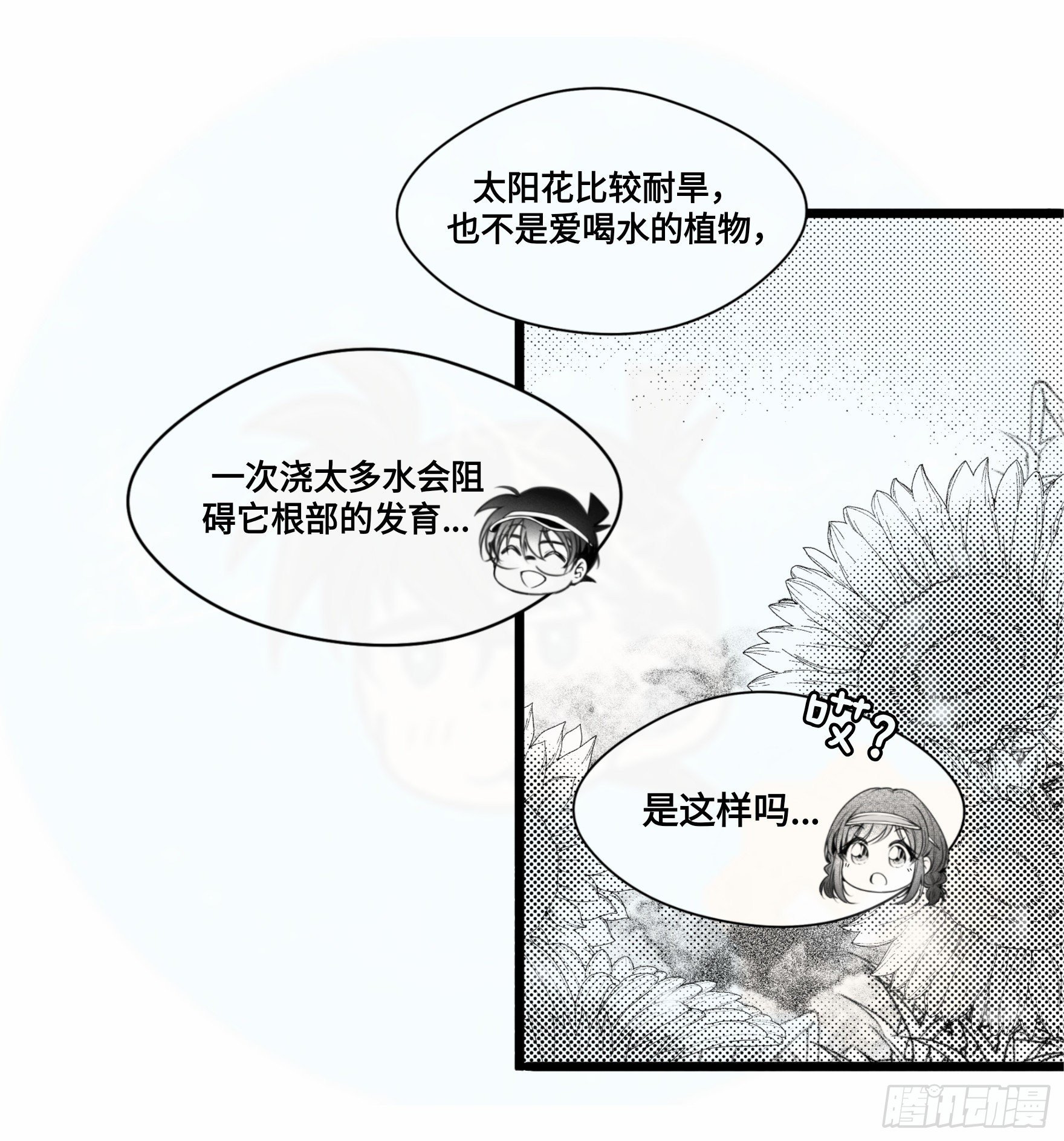 誓约篇（4）【情人节加更】12
