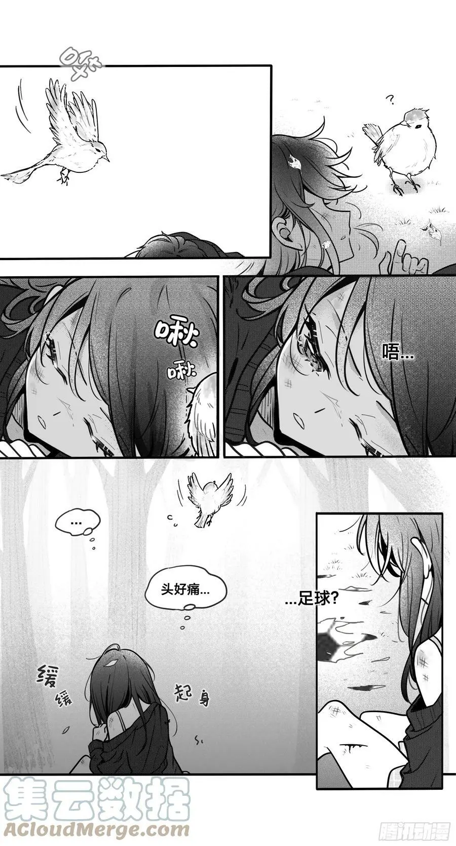 誓约（29）5