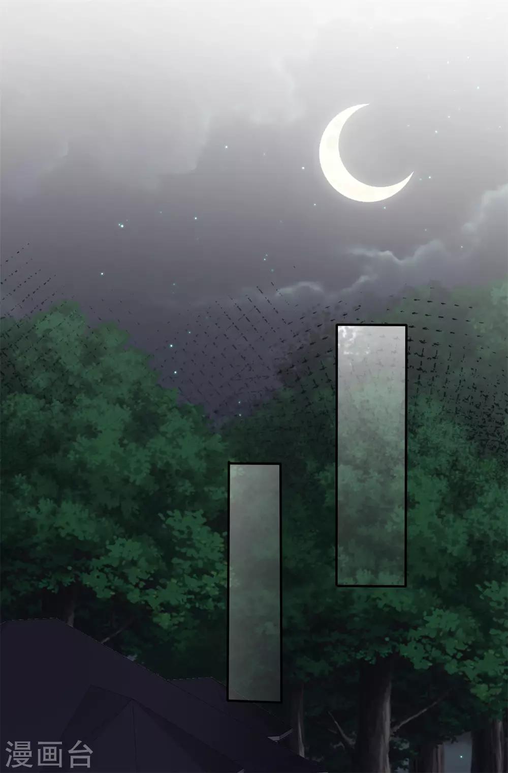 第11话 可爱的傻女人15