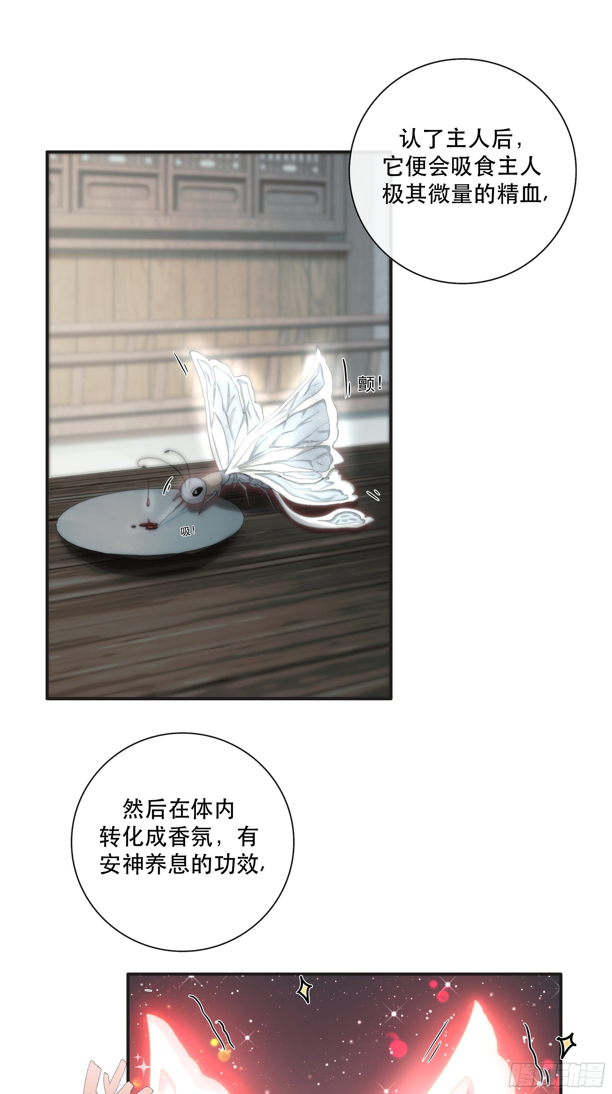 买一只香凝蝶送给内子18