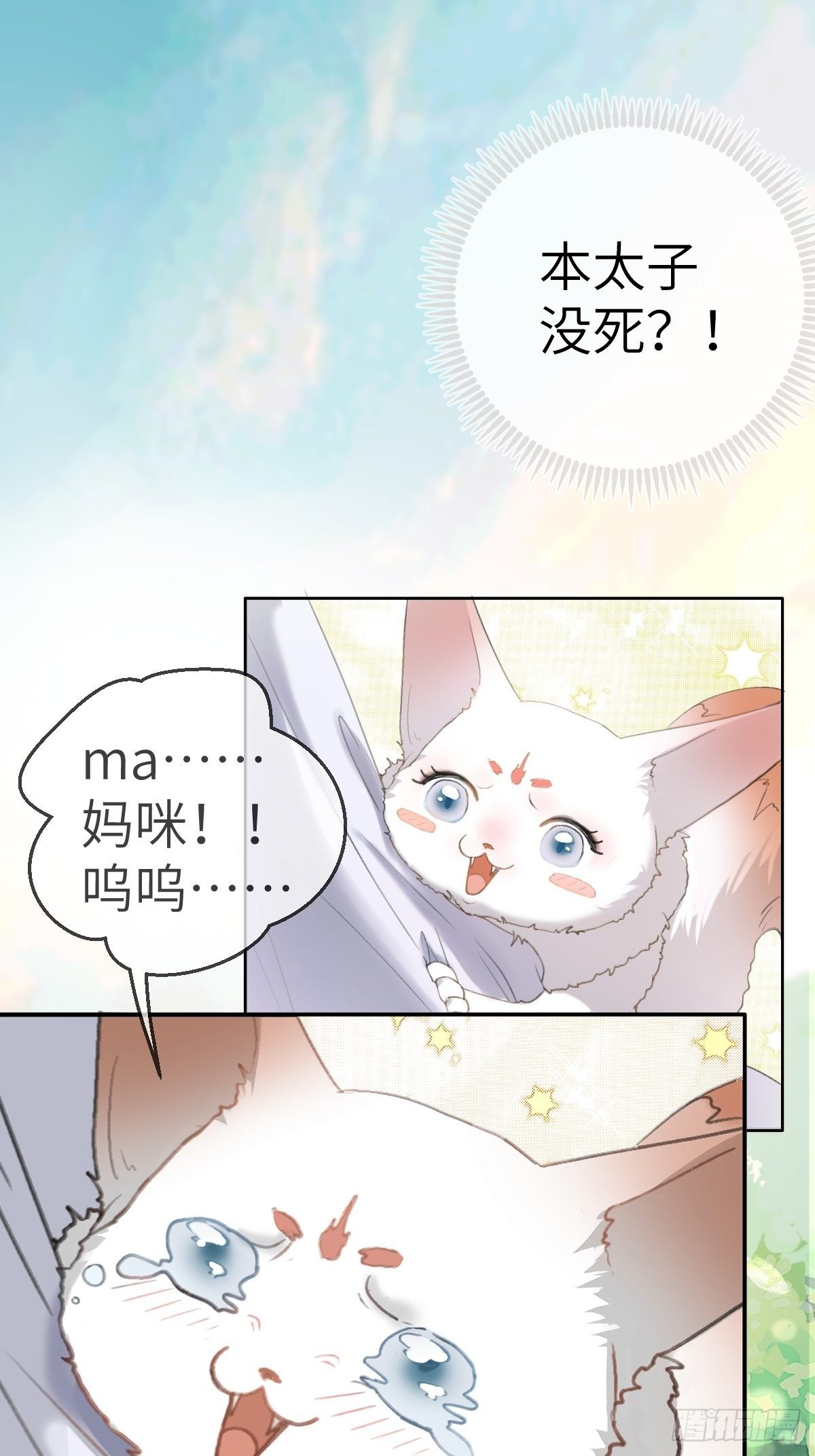 放料：预告6