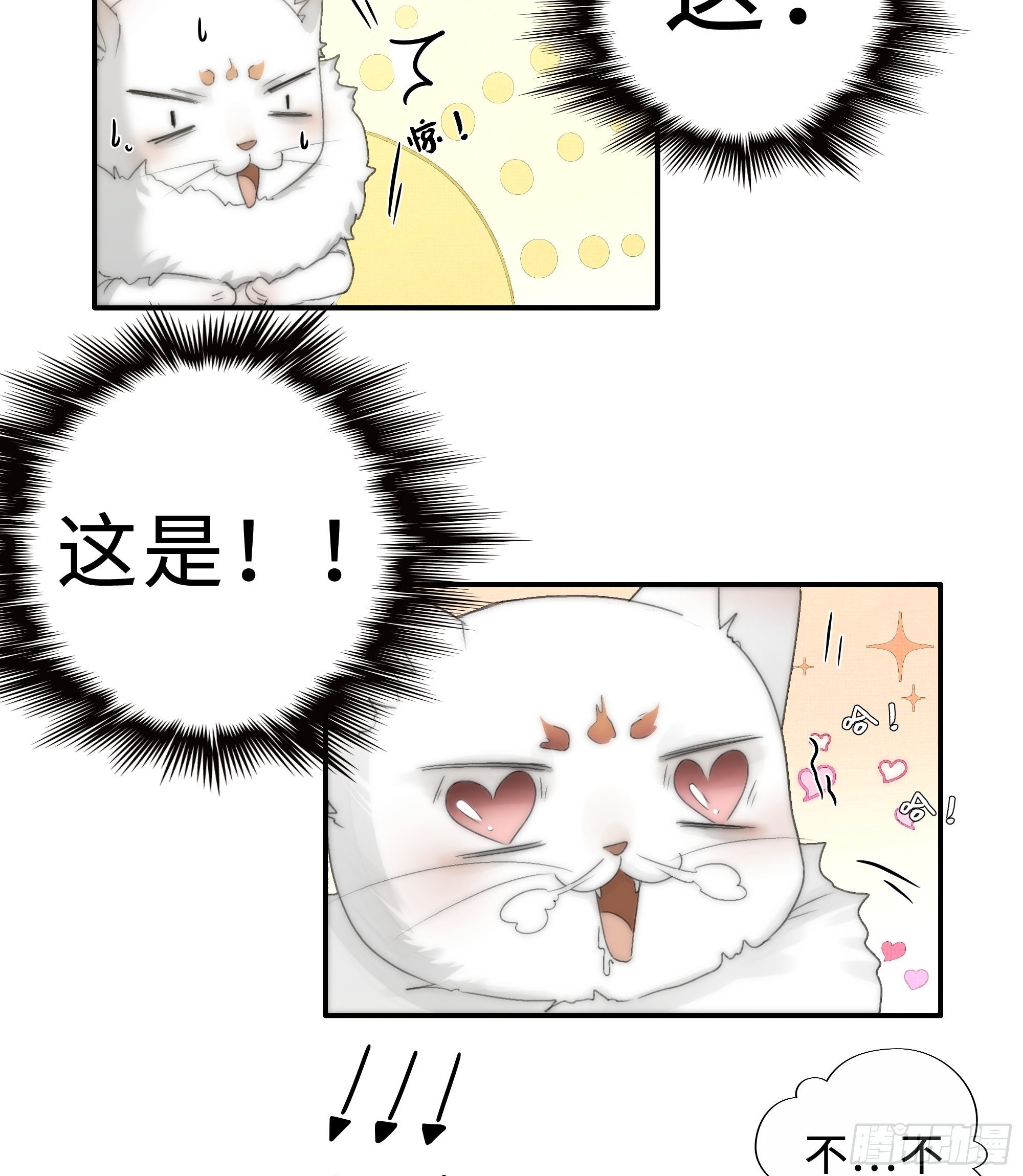 这句道歉，是对我说的么？13