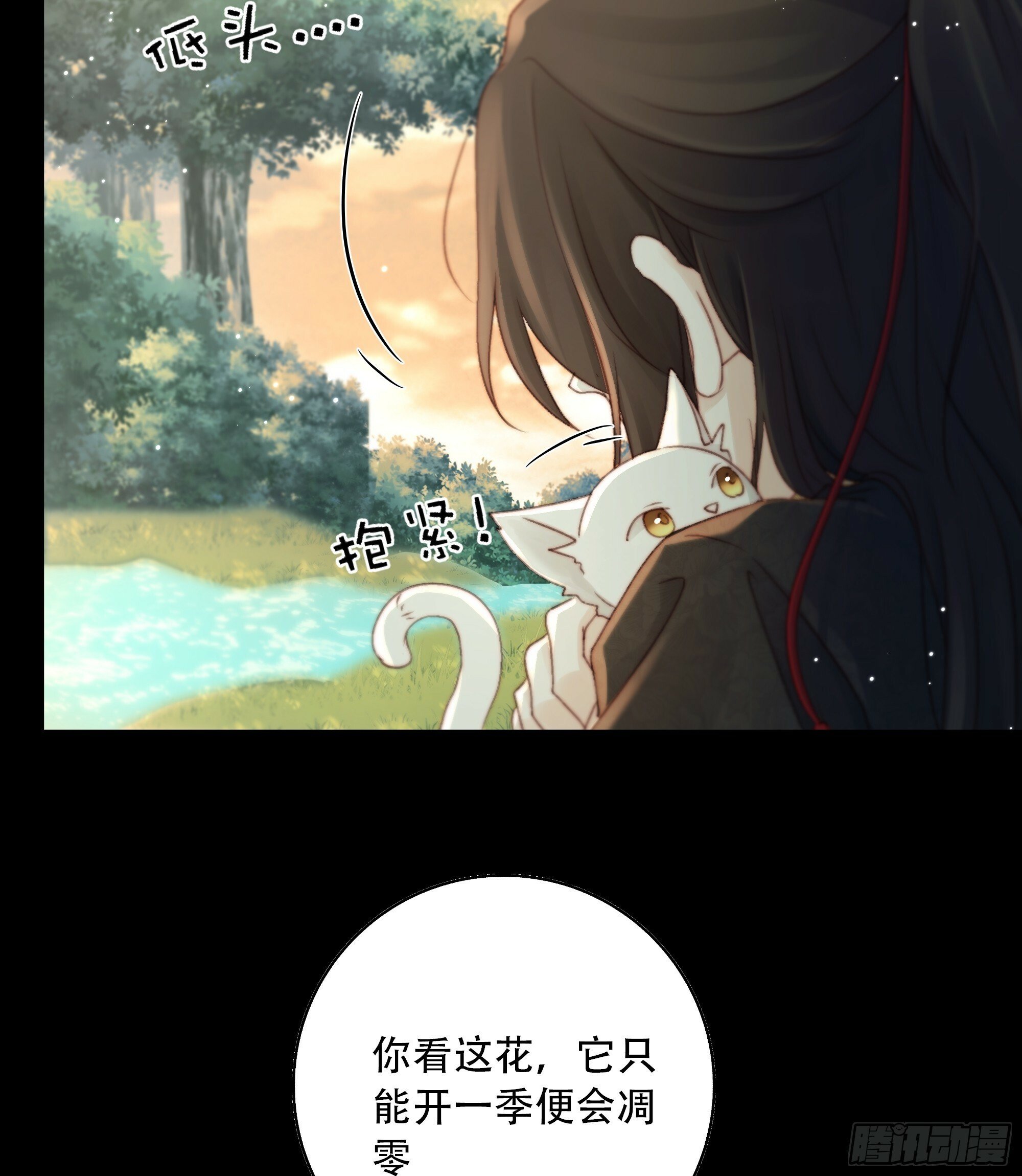 短暂的生命也值得好好绽放29