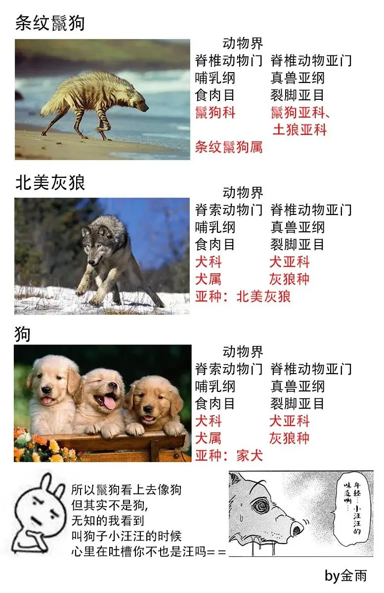 68 致意 冰冷的嘴角 燃烧的手20