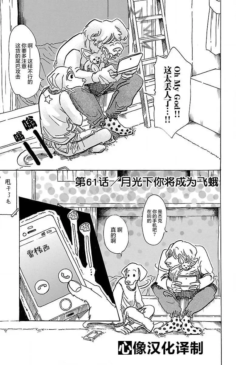 61 是月亮，你变成蛾0