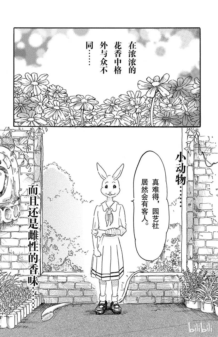 8 教母的叹息8