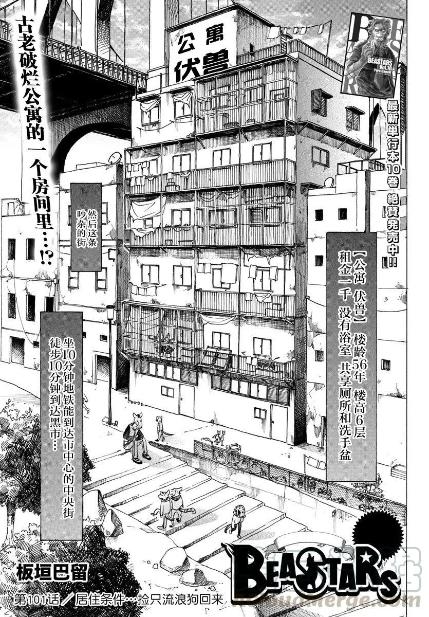 101 捡条流浪狗回来0