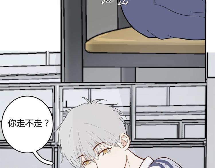 15 发烧11