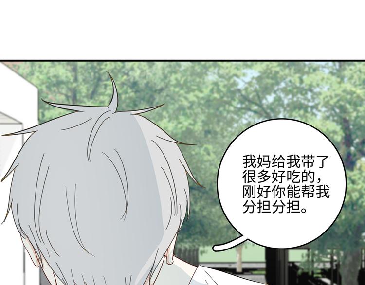 24 投喂12