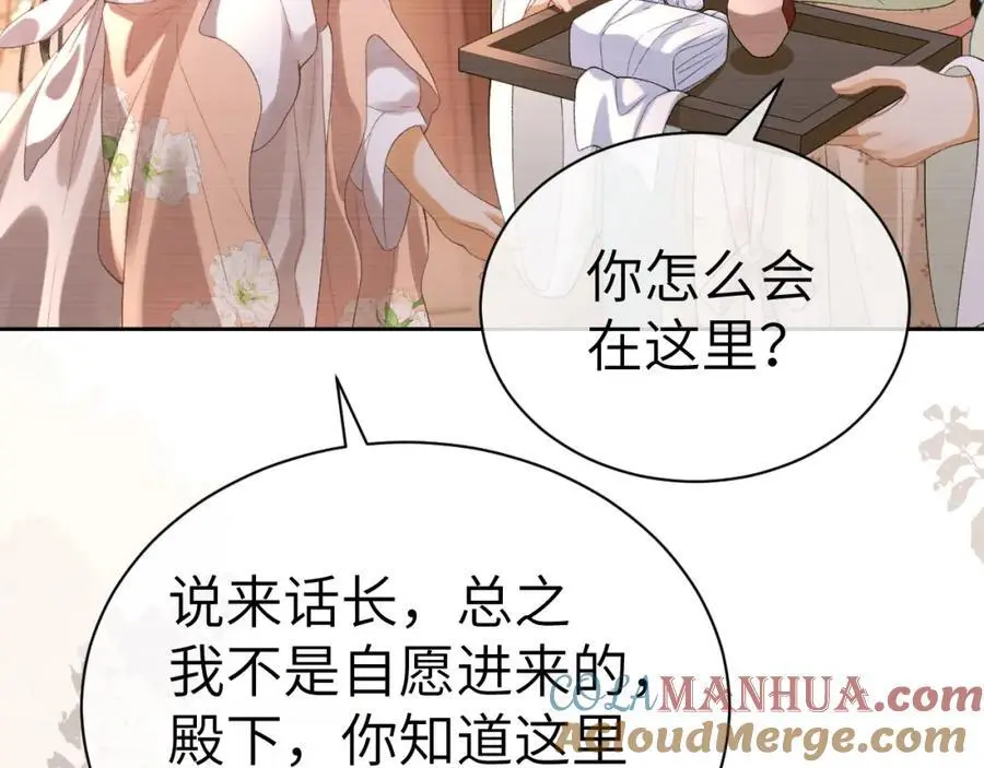 第二十五话 五年后的夏国45