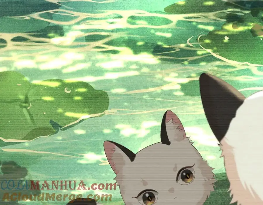第二十二话 质子的童年48