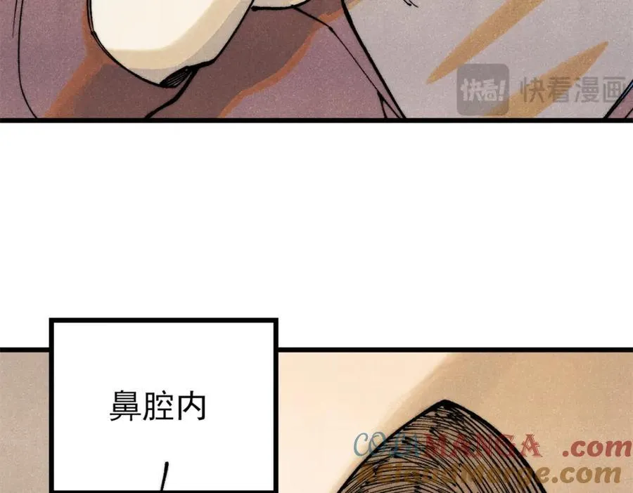 125 鸡翅12