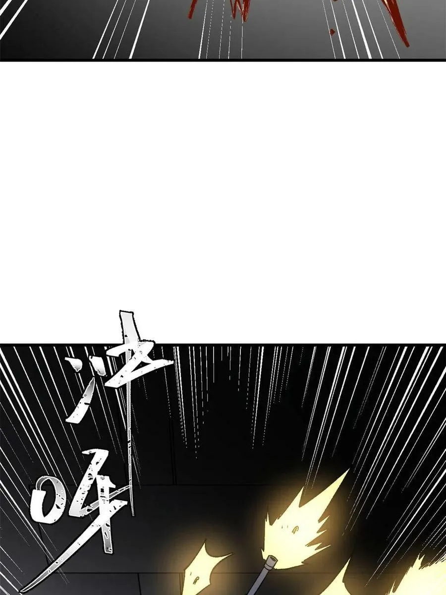 45 昙花17