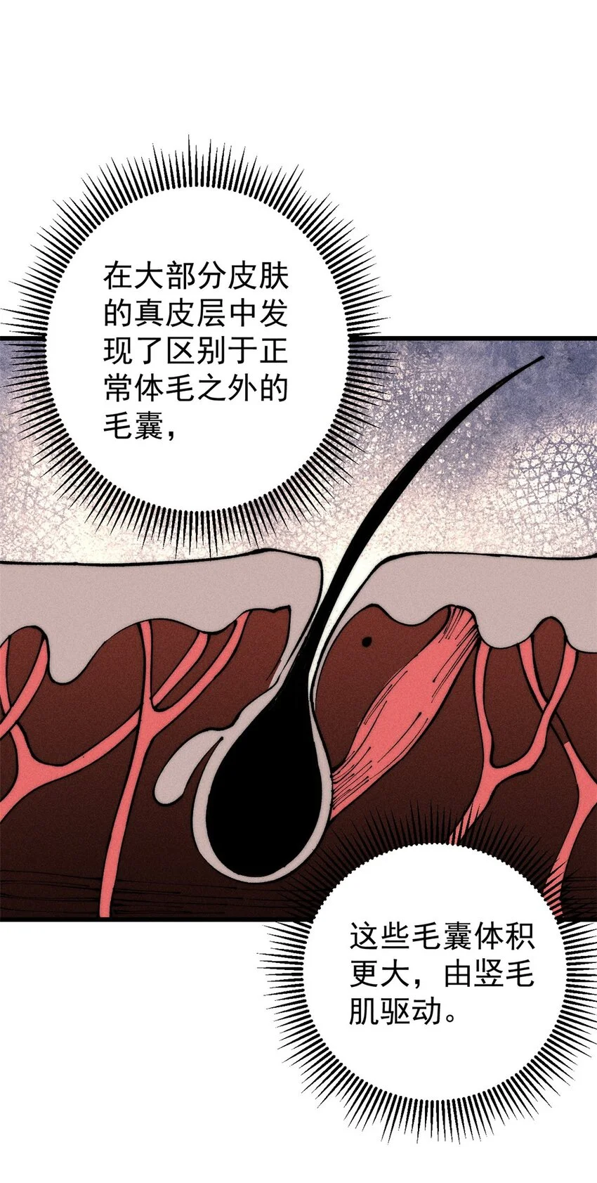 104 人造血族？7