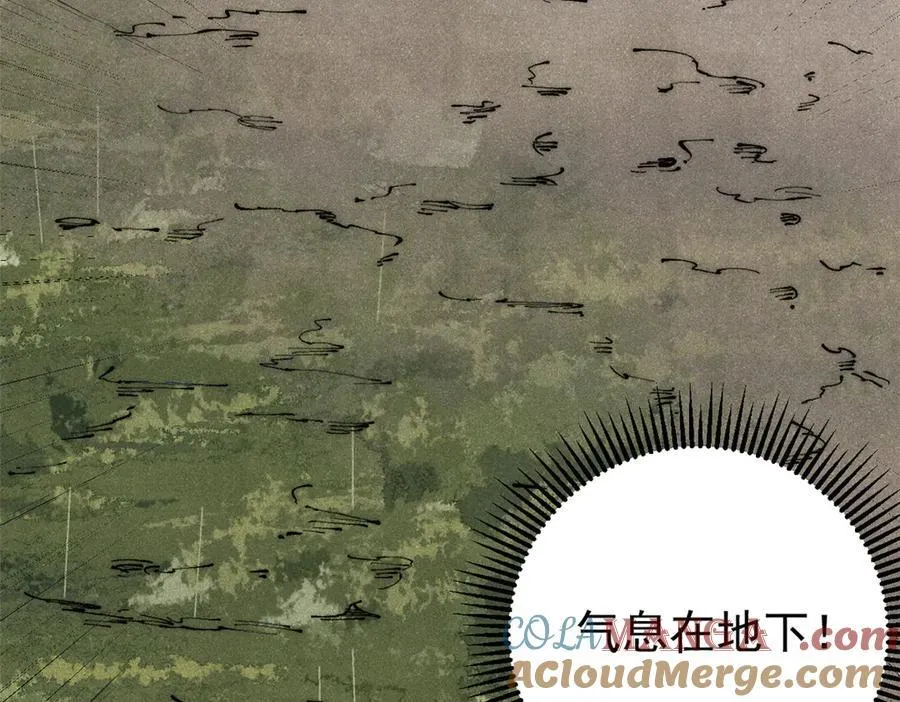 132 缩头乌龟104