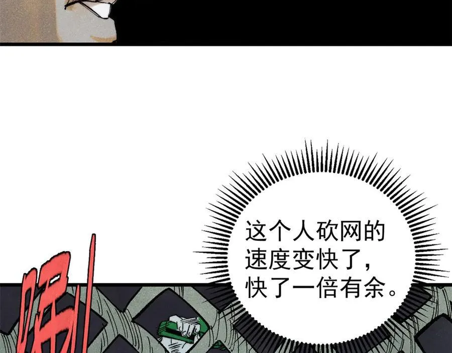 132 缩头乌龟113