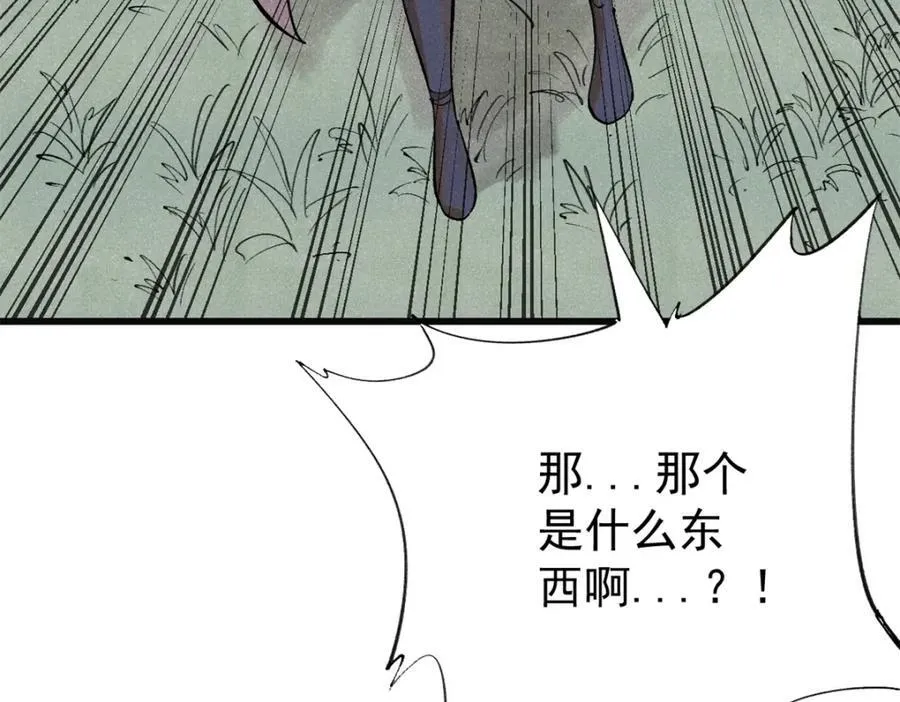 126 幻觉114