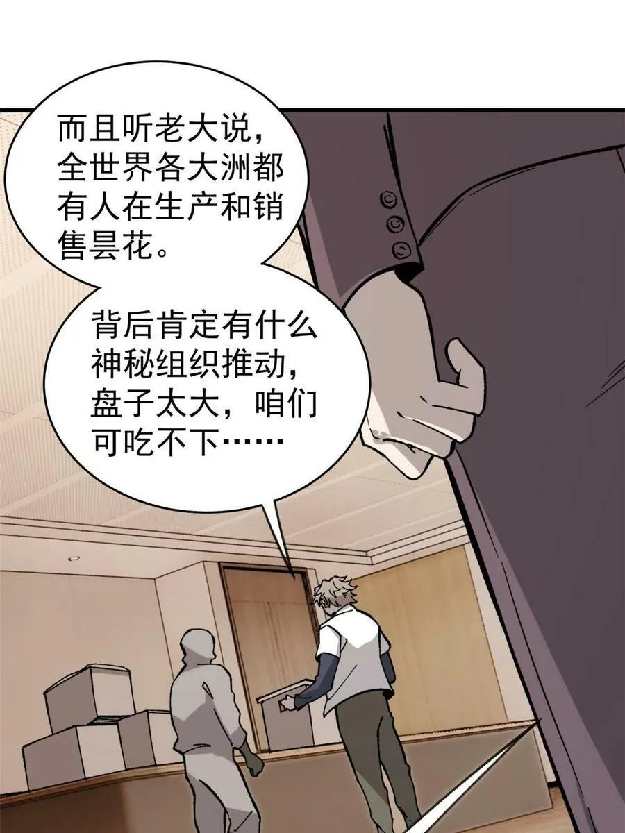 45 昙花50