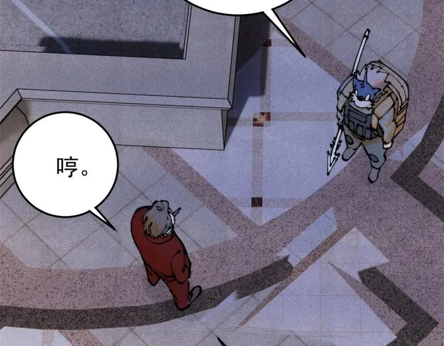 116 幻觉？85