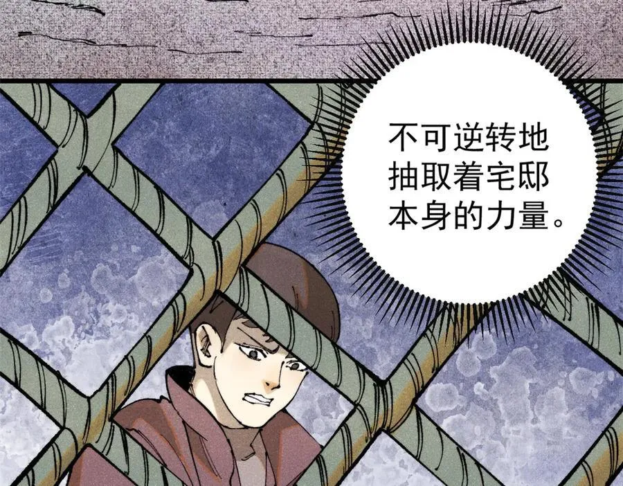 132 缩头乌龟70