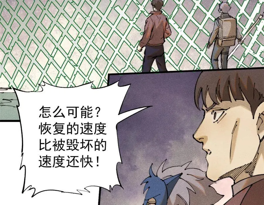 132 缩头乌龟59