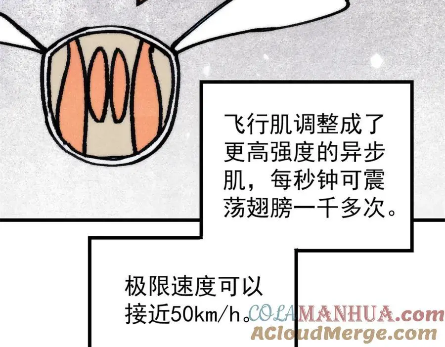 114 溺厄暗杀术124
