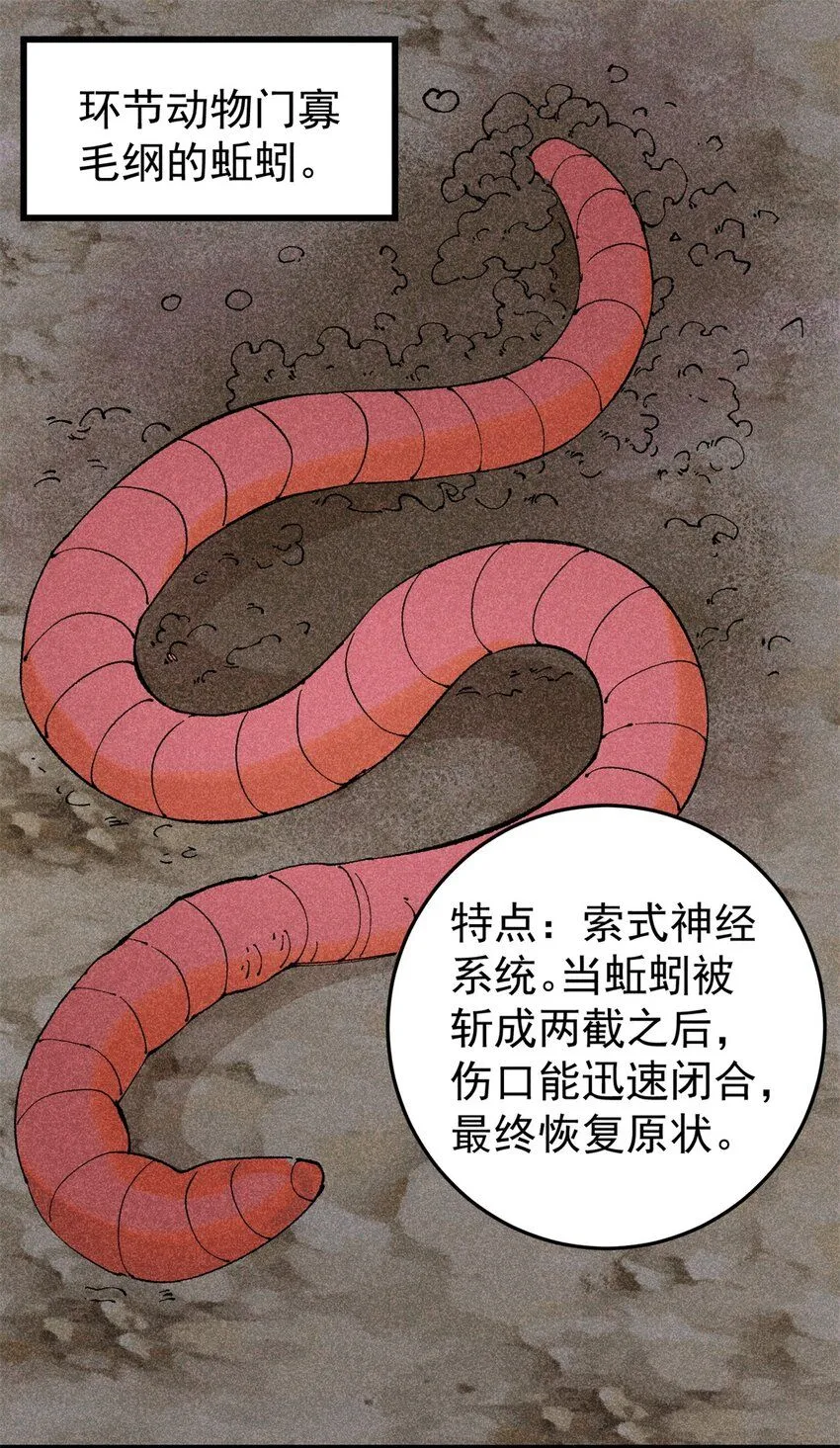 93 化身苏珊大妈2