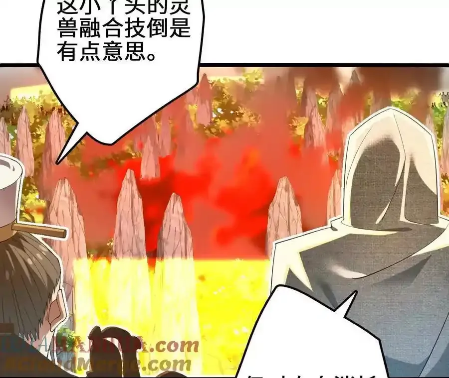 第110话 强大的代价33