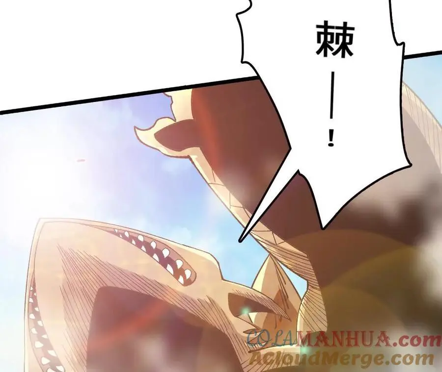 第87话 龟龟真大63