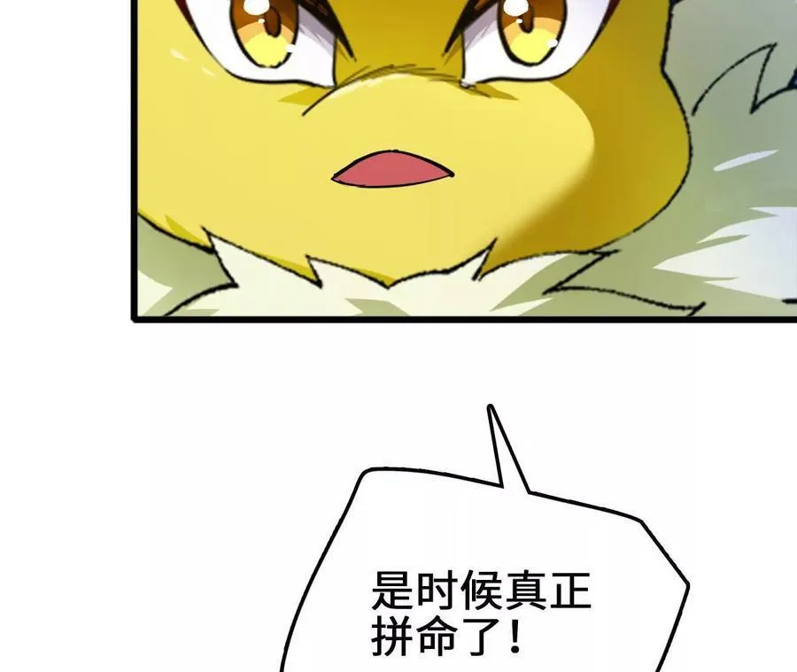 第125话 决赛开始！47