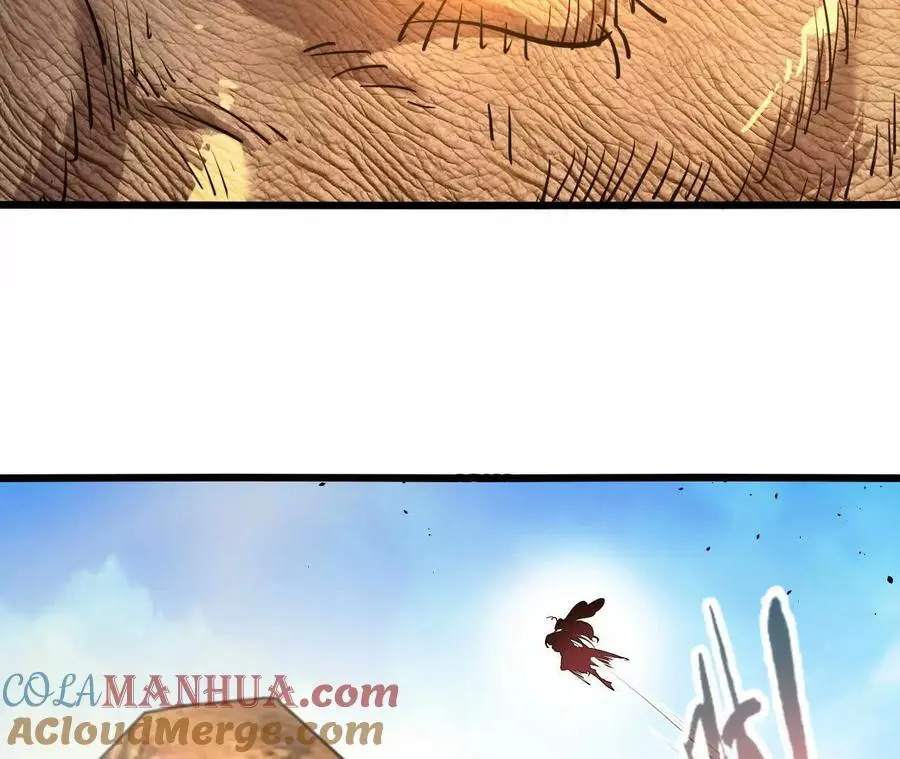 第100话 毒蜂vs巨象42