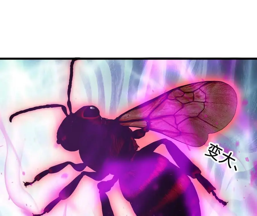 第100话 毒蜂vs巨象22