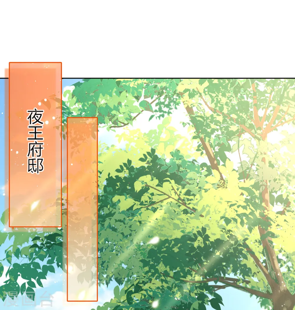 第10话 这是秦念念？10