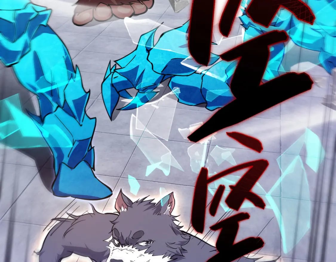 041 上门挑衅106