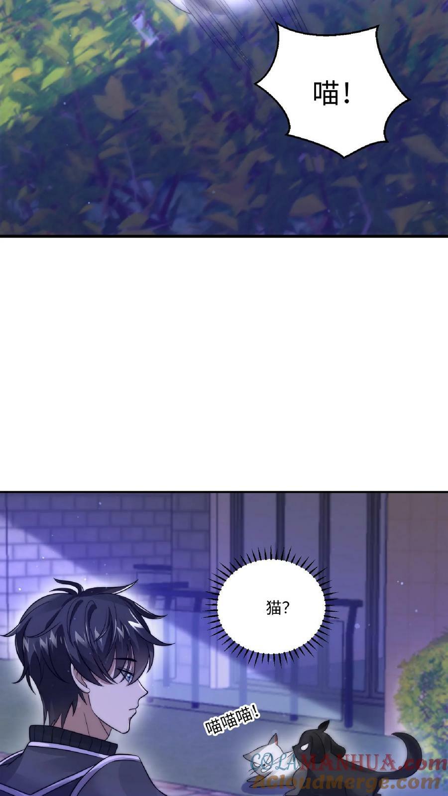 第24话 会心灵交流的神奇小猫12