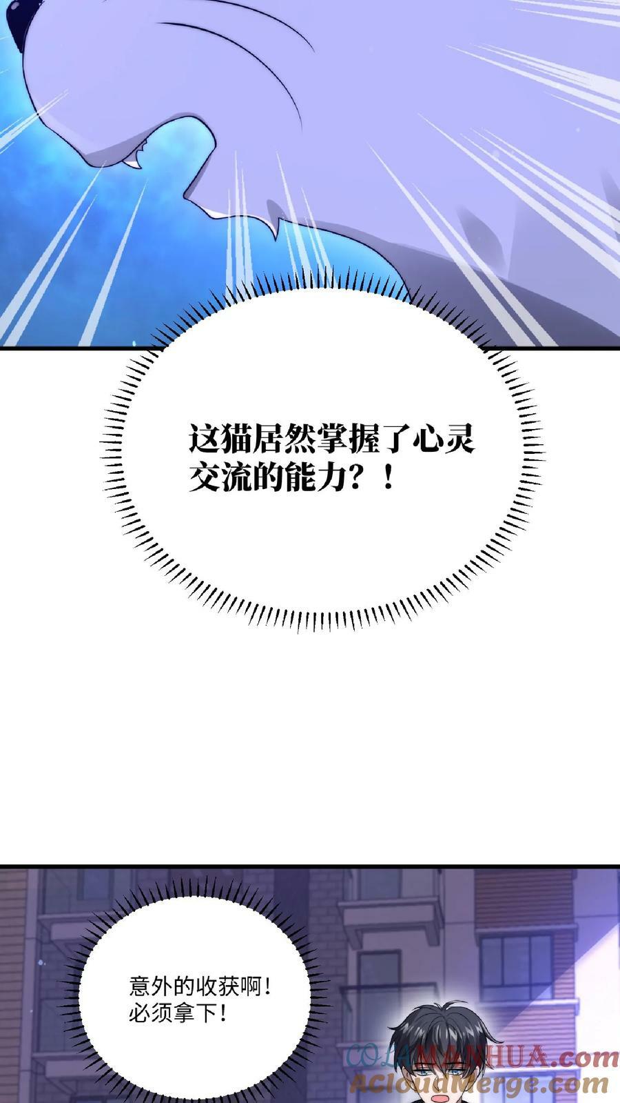 第24话 会心灵交流的神奇小猫16