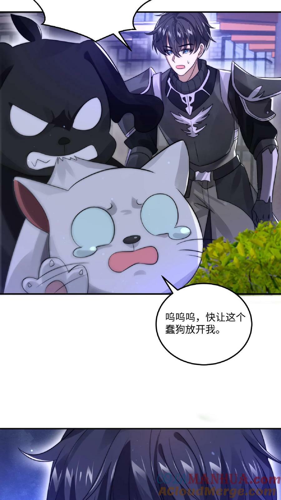 第24话 会心灵交流的神奇小猫14