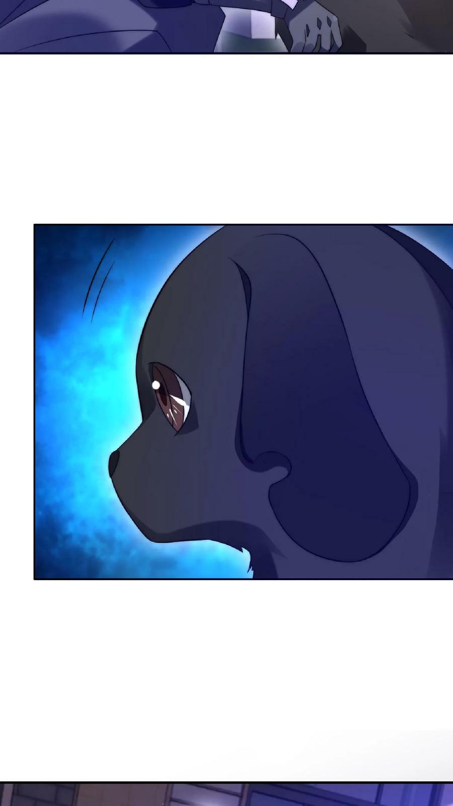 第24话 会心灵交流的神奇小猫9