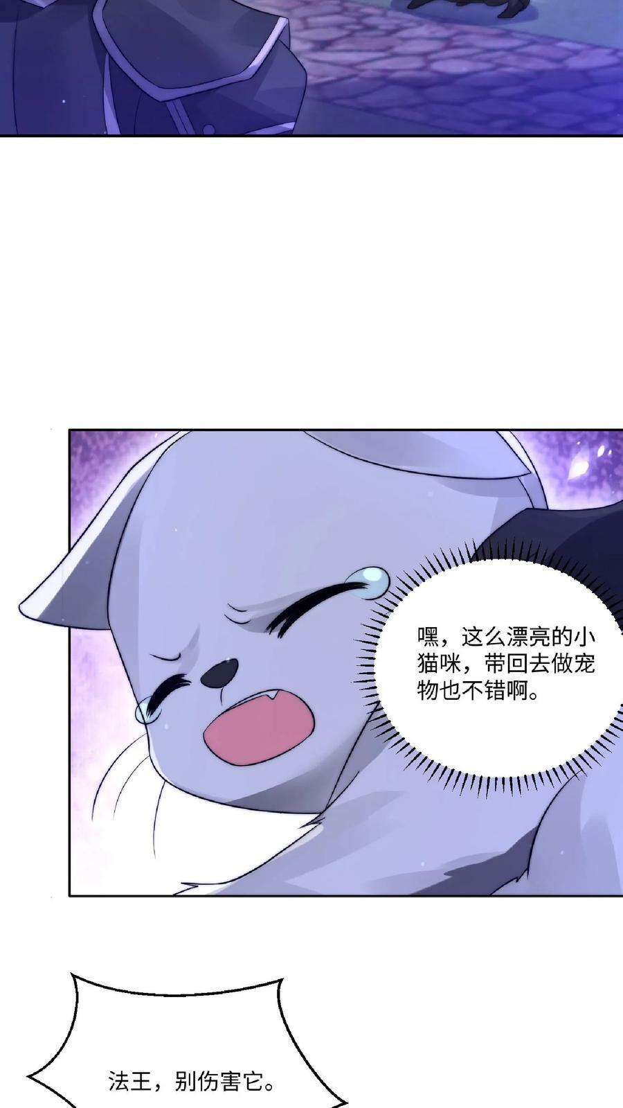 第24话 会心灵交流的神奇小猫13