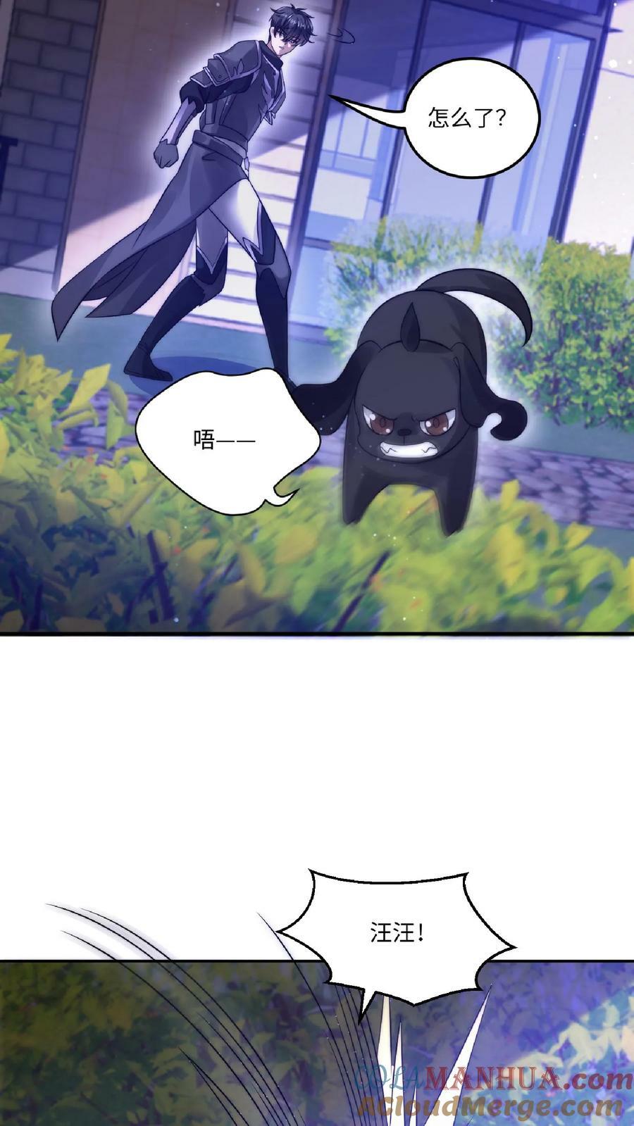 第24话 会心灵交流的神奇小猫10